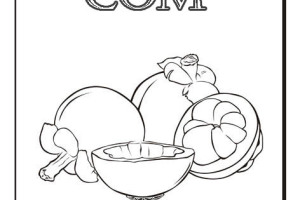 Google.com FREE Coloring Pages for kids | #1