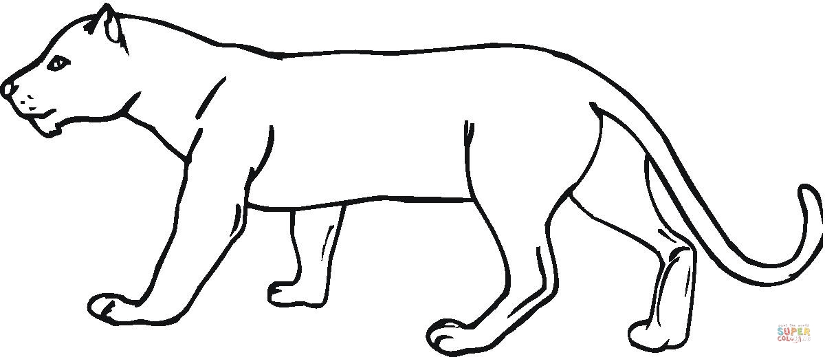  Panther Animal Coloring Pages kids coloring pages | #10
