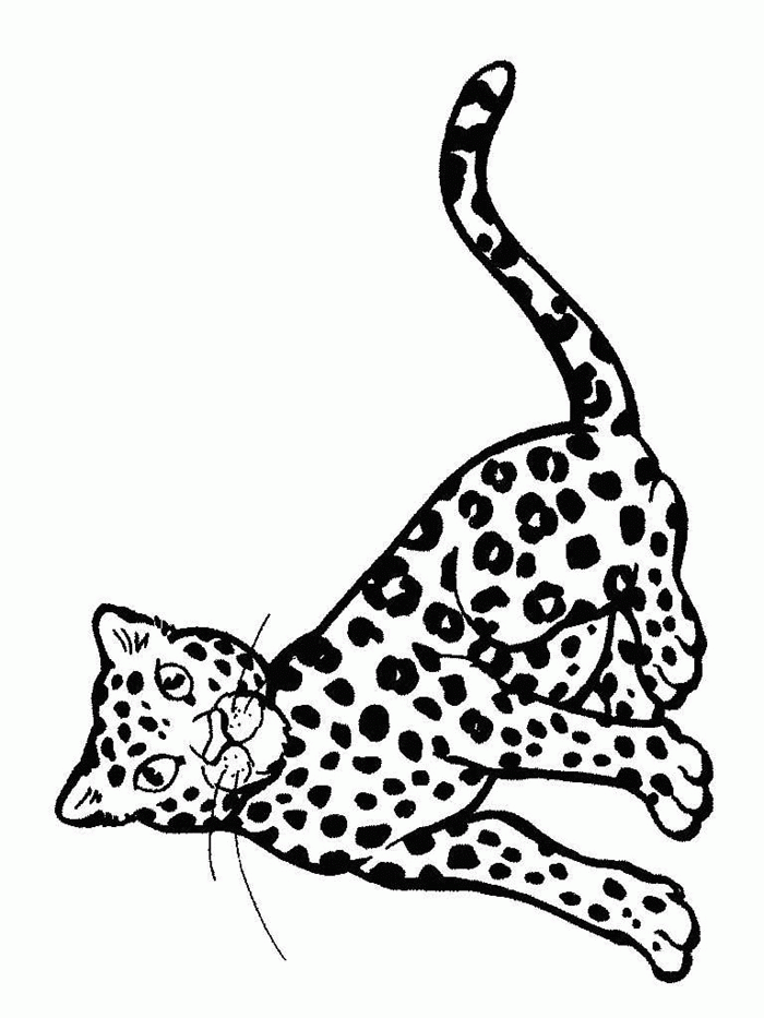 Panther Animal Coloring Pages kids coloring pages | #16