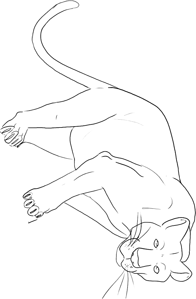 Panther Animal Coloring Pages kids coloring pages | #2