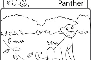 Panther Animal Coloring Pages kids coloring pages | #23