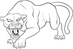 Panther Animal Coloring Pages kids coloring pages | #3