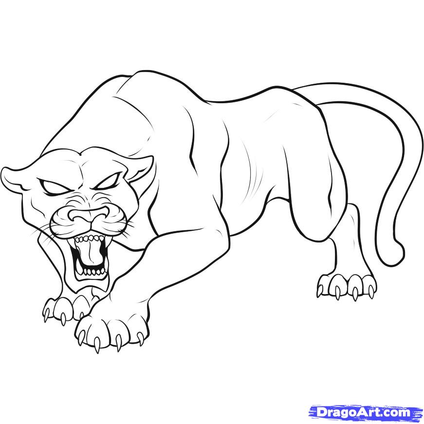  Panther Animal Coloring Pages kids coloring pages | #3
