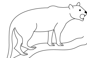 Panther Animal Coloring Pages kids coloring pages | #31
