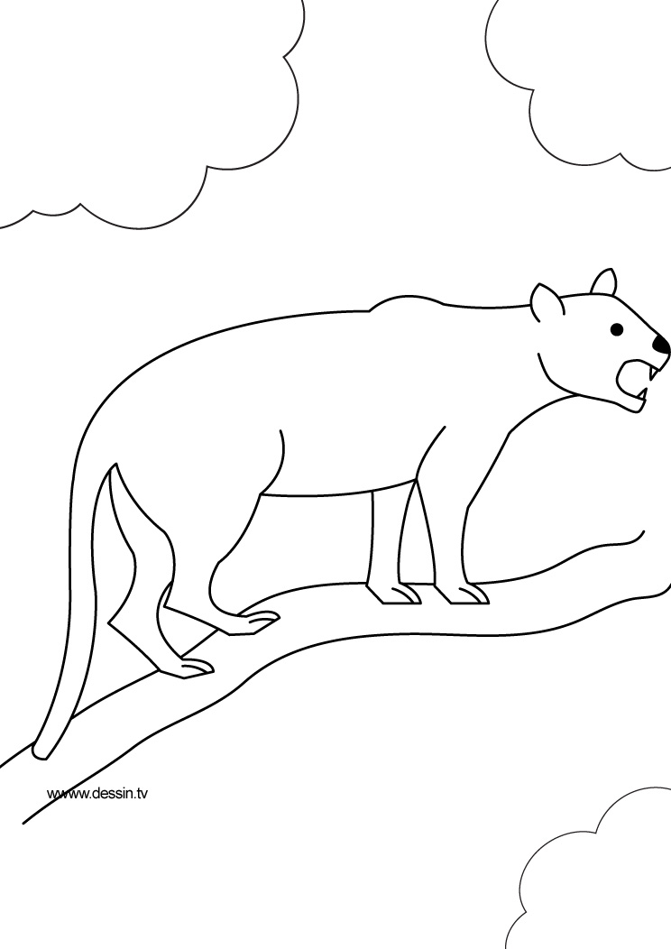 Panther Animal Coloring Pages kids coloring pages | #31
