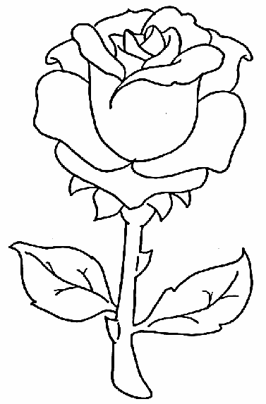 Beautiful Rose Flowers Coloring pages