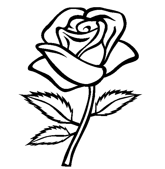 Cute Rose Flowers Coloring pages