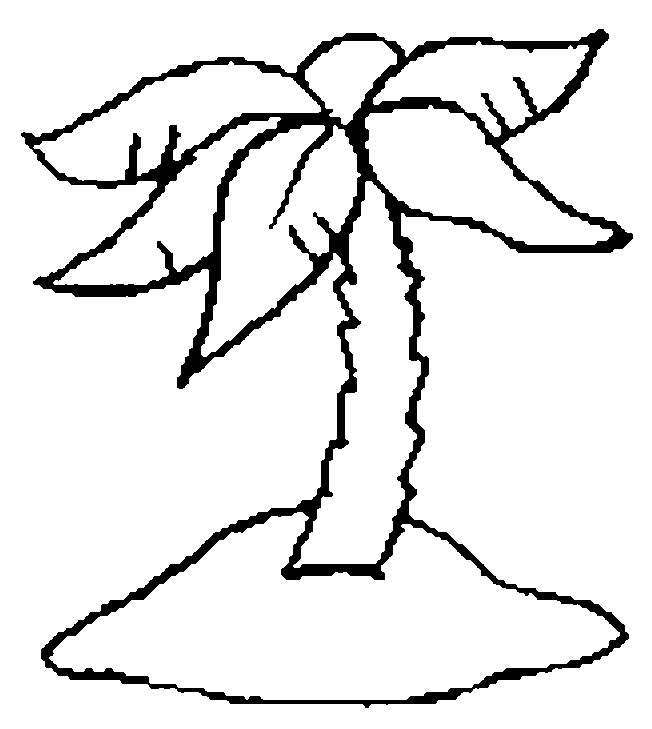 Palm Island Coloring Pages | Print Coloring pages