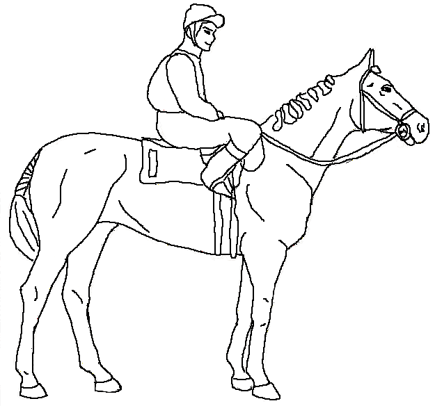 Race Horses Color Pictures | Print Coloring pages | #11