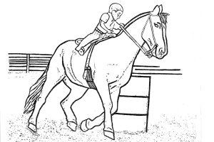 Race Horses Color Pictures | Print Coloring pages | #13