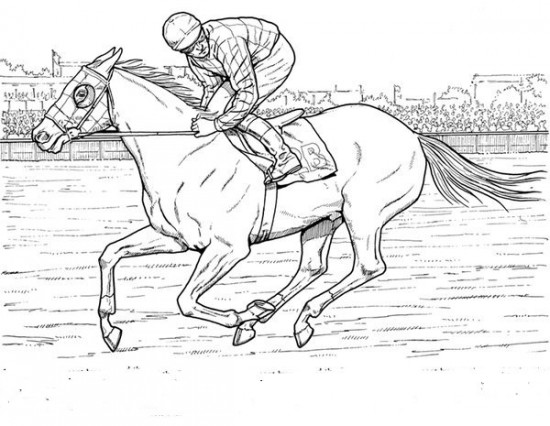  Race Horses Color Pictures | Print Coloring pages | #3