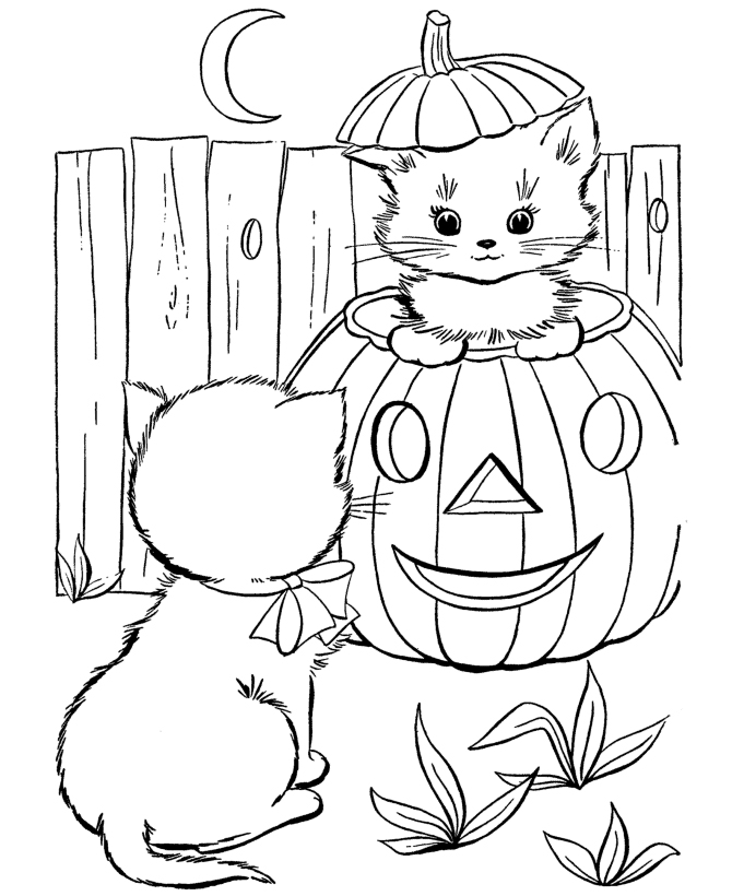  2 Cats Halloween Colouring Pages