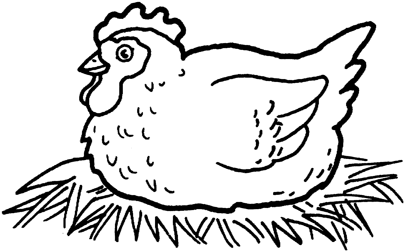 Chicken Coloring Pages Big Chicken| Animal Coloring Pages