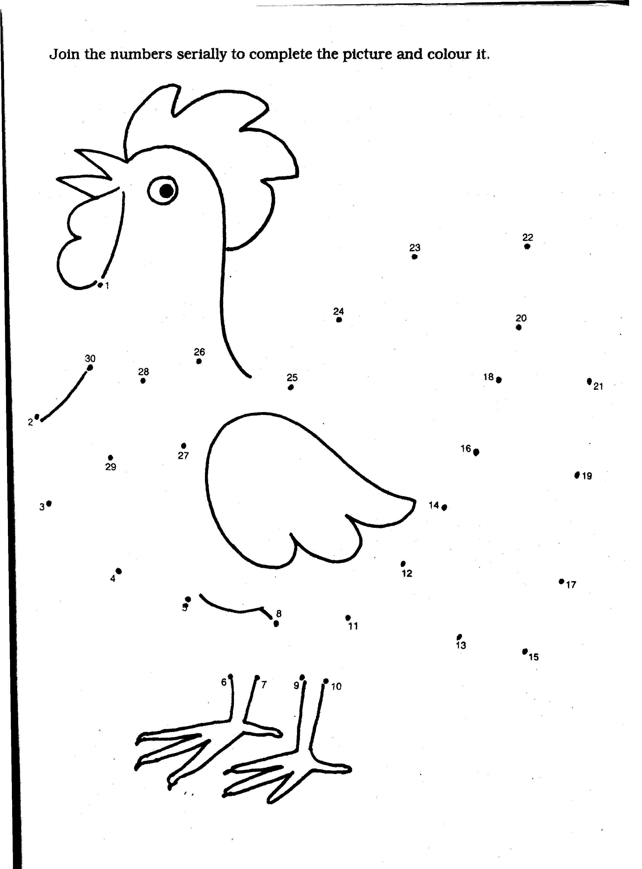  Chicken Coloring Pages Coloring Number| Animal Coloring Pages