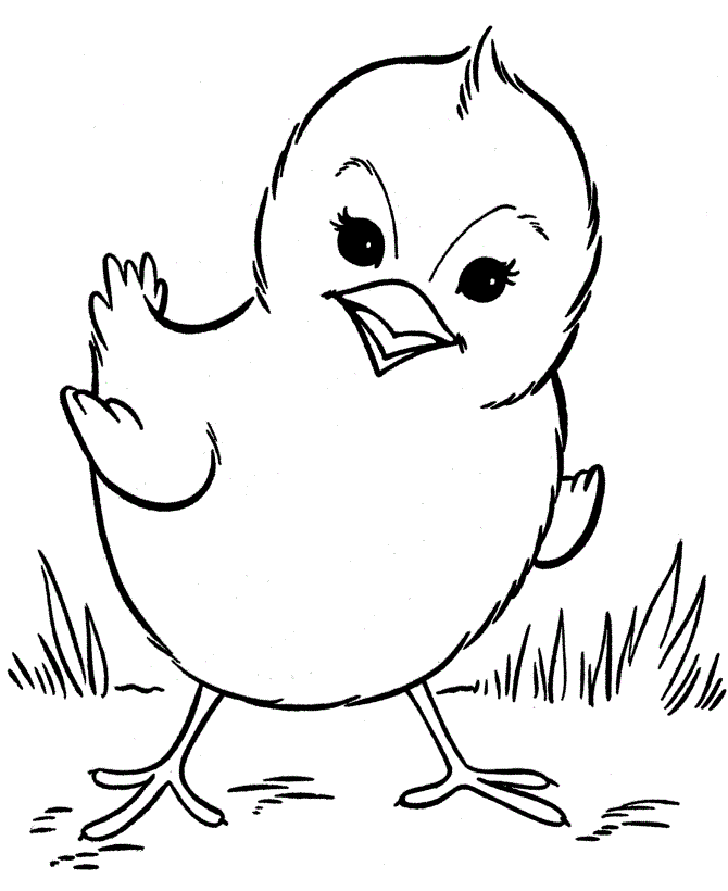 Chicken Coloring Pages Cute Chick| Animal Coloring Pages
