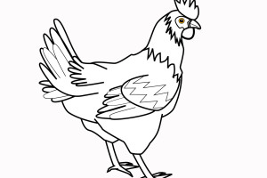 Chicken Coloring Pages Little Rooster| Animal Coloring Pages