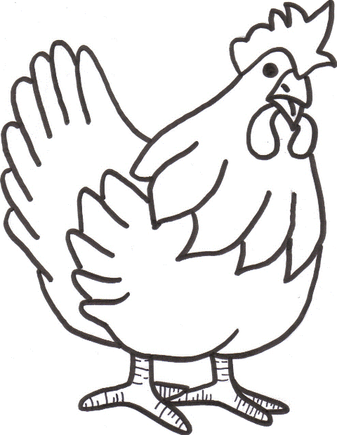 Chicken Coloring Pages Real Rooster| Animal Coloring Pages