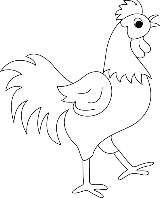  Chicken Coloring Pages Rooster | Animal Coloring Pages