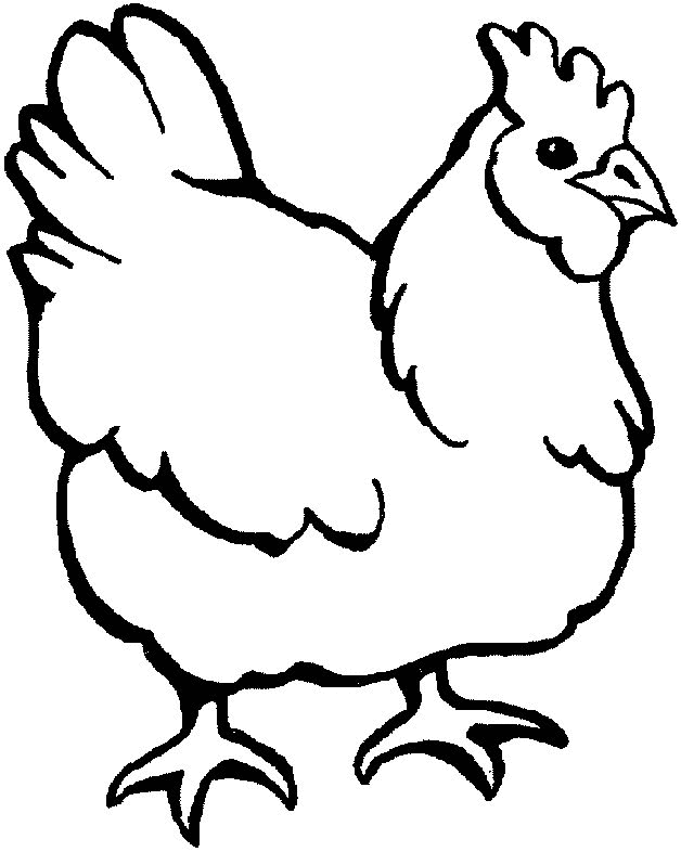Chicken Coloring Pages Young Chicken| Animal Coloring Pages