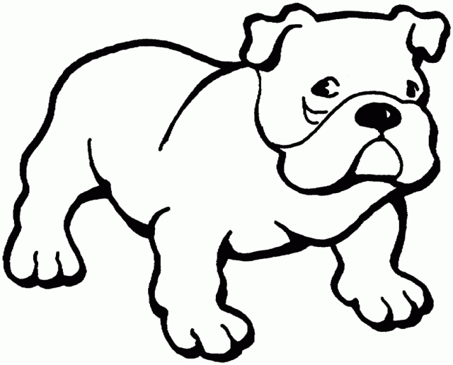 Real Bulldog Animal Coloring Pages