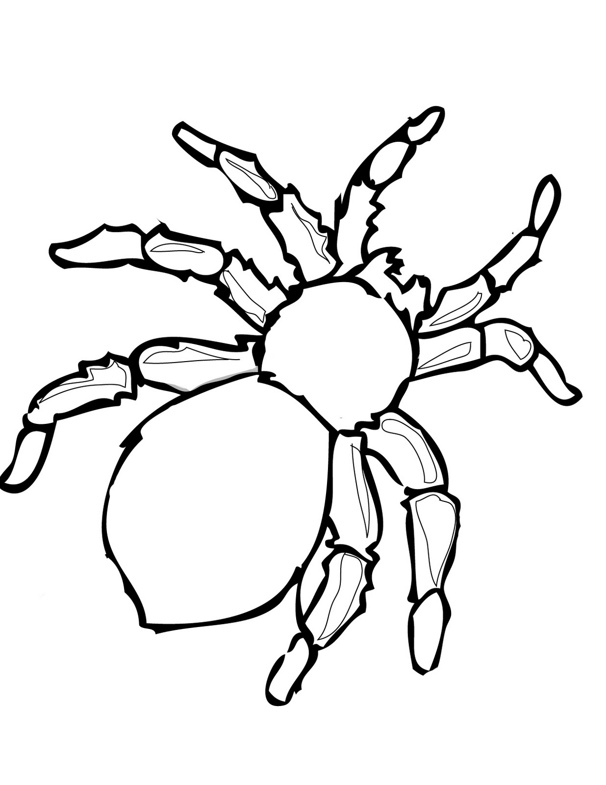  Spider Halloween Coloring Pages for Kids