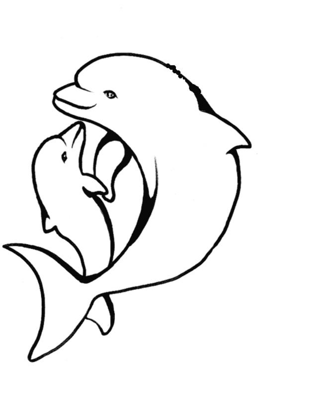 Baby Dolphin Animal Coloring Pages