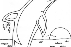 California Dolphin Animal Coloring Pages