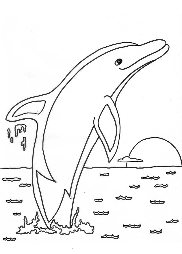  California Dolphin Animal Coloring Pages