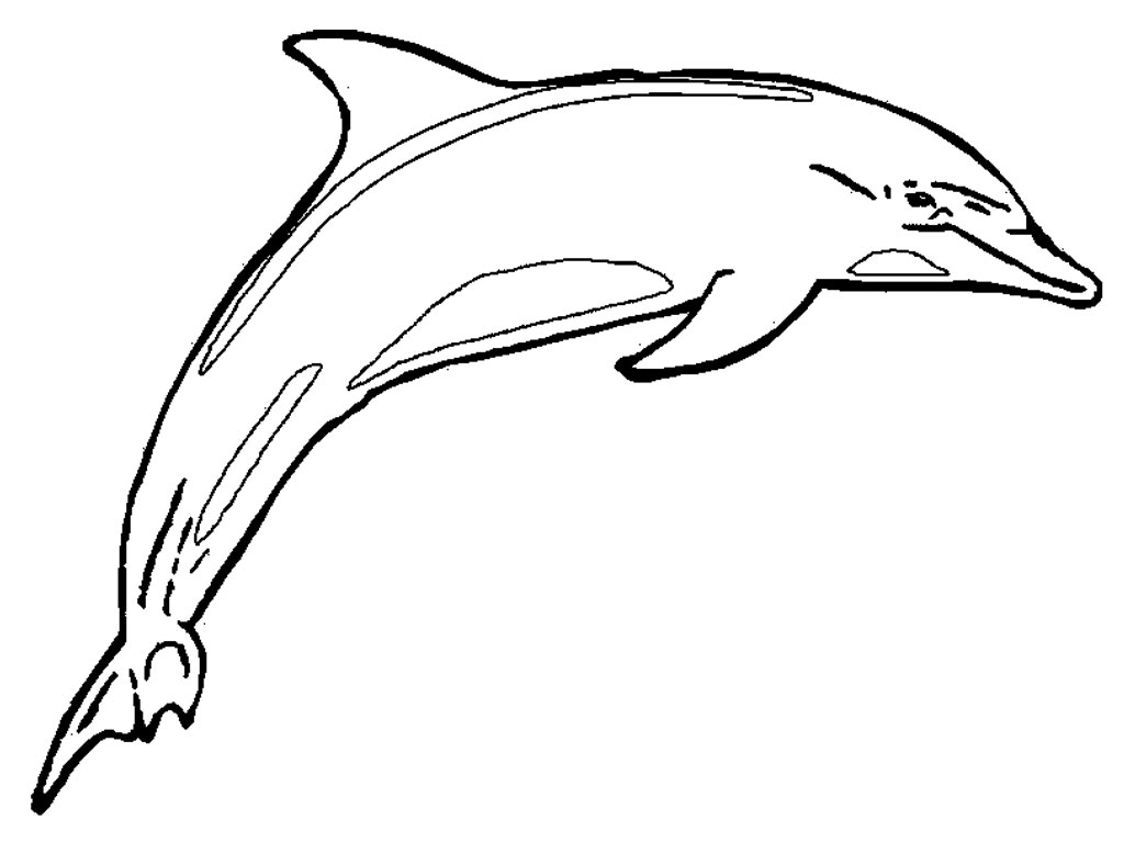  Dad Dolphin Animal Coloring Pages