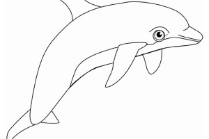 Dolphin Animal Coloring Pages