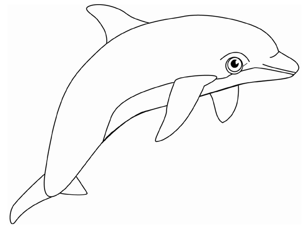  Dolphin Animal Coloring Pages