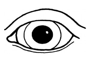 Human Eyes Print Coloring Pages