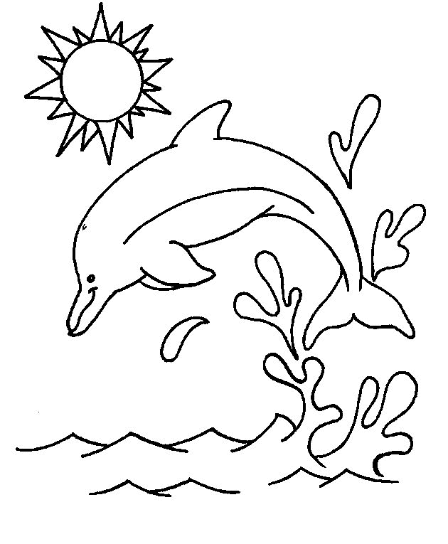 Jump Dolphin Animal Coloring Pages