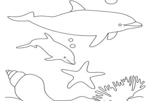 Ocean Dolphin Animal Coloring Pages
