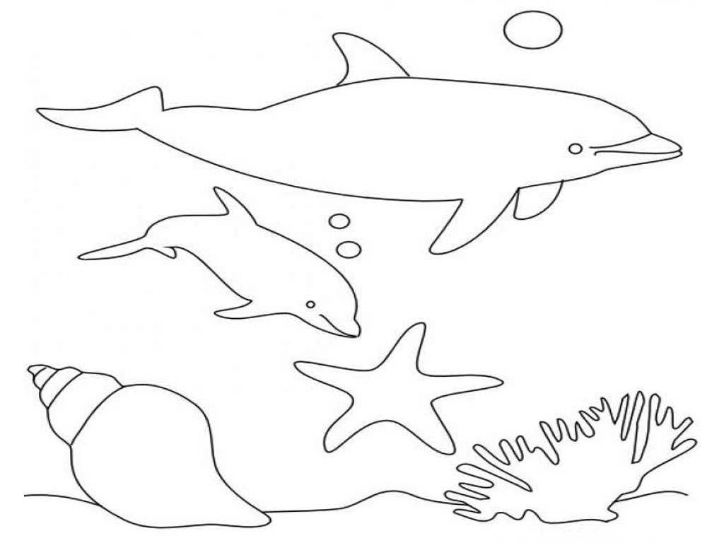  Ocean Dolphin Animal Coloring Pages