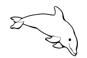Print Dolphin Animal Coloring Pages