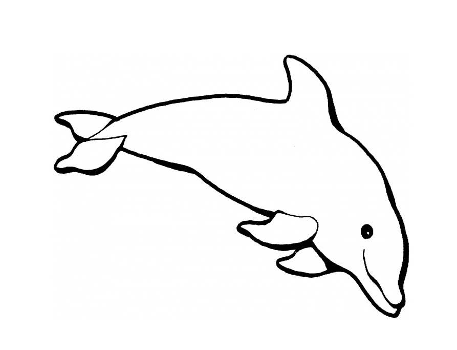 Print Dolphin Animal Coloring Pages Free Printable Coloring Pages For