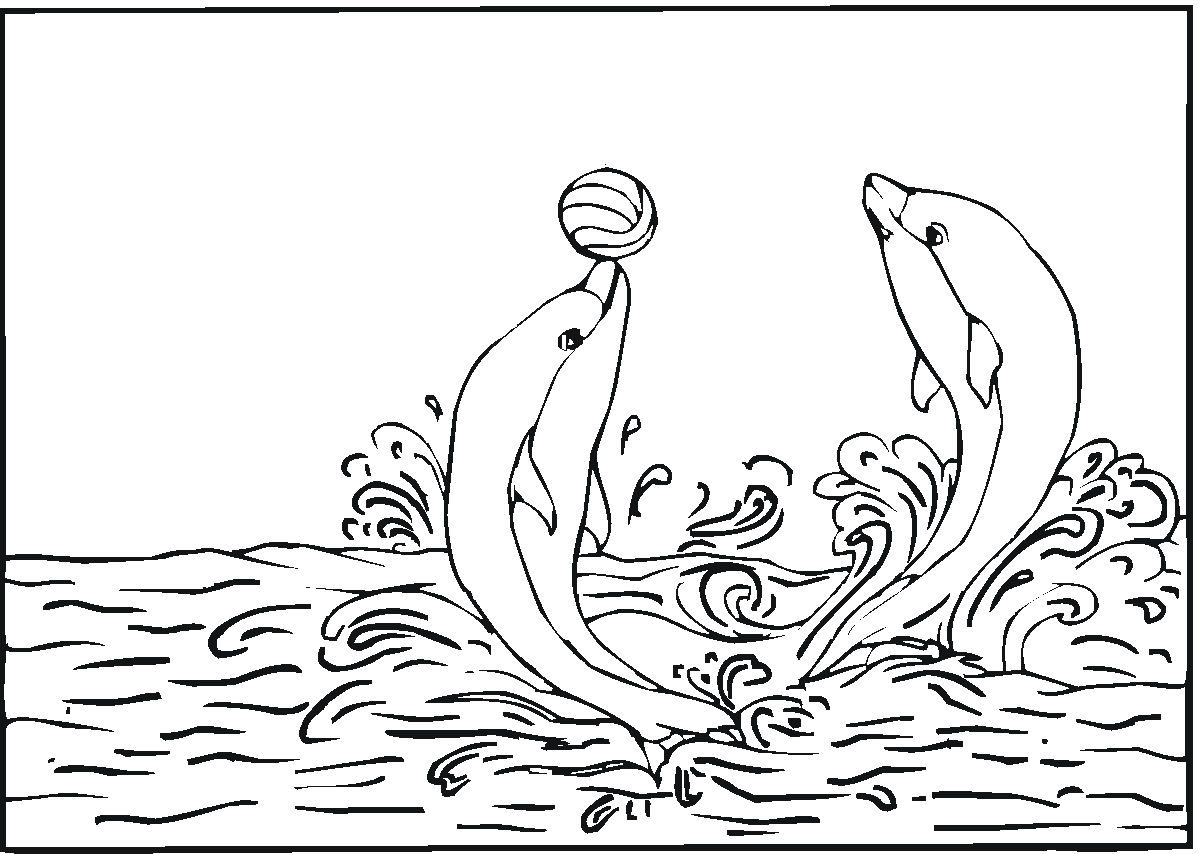 Two Dolphin Play Animal Coloring Pages