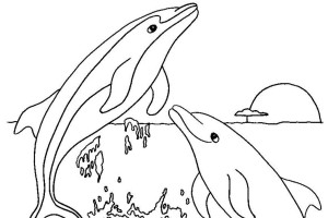Vacancy Dolphin Animal Coloring Pages