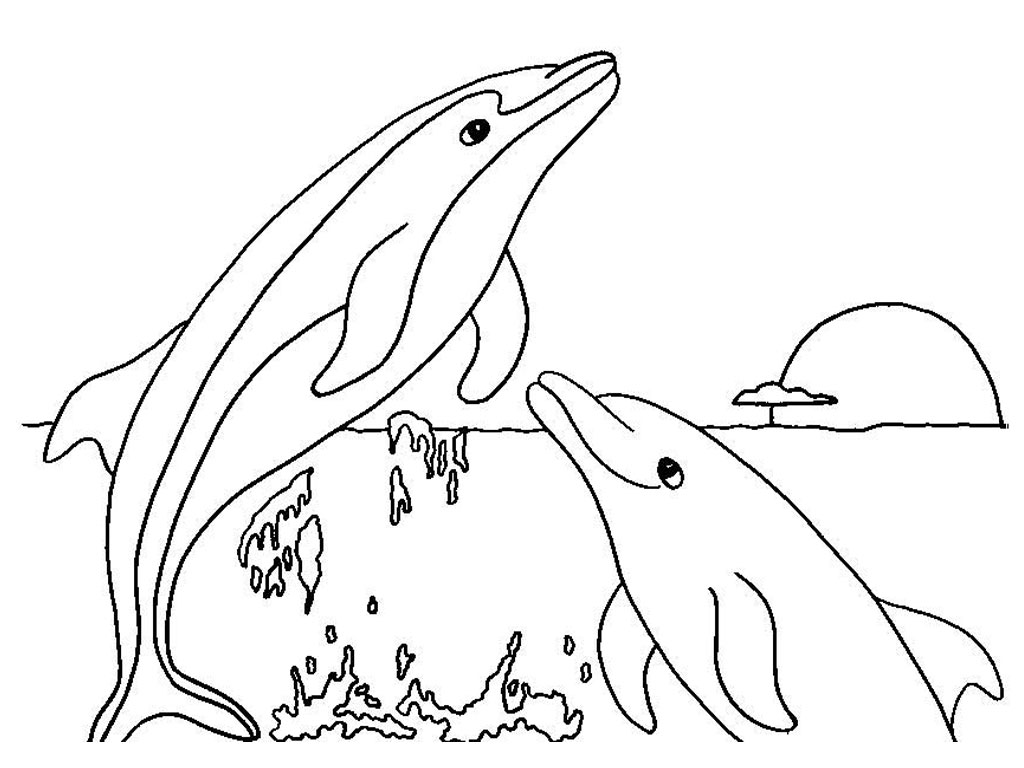  Vacancy Dolphin Animal Coloring Pages